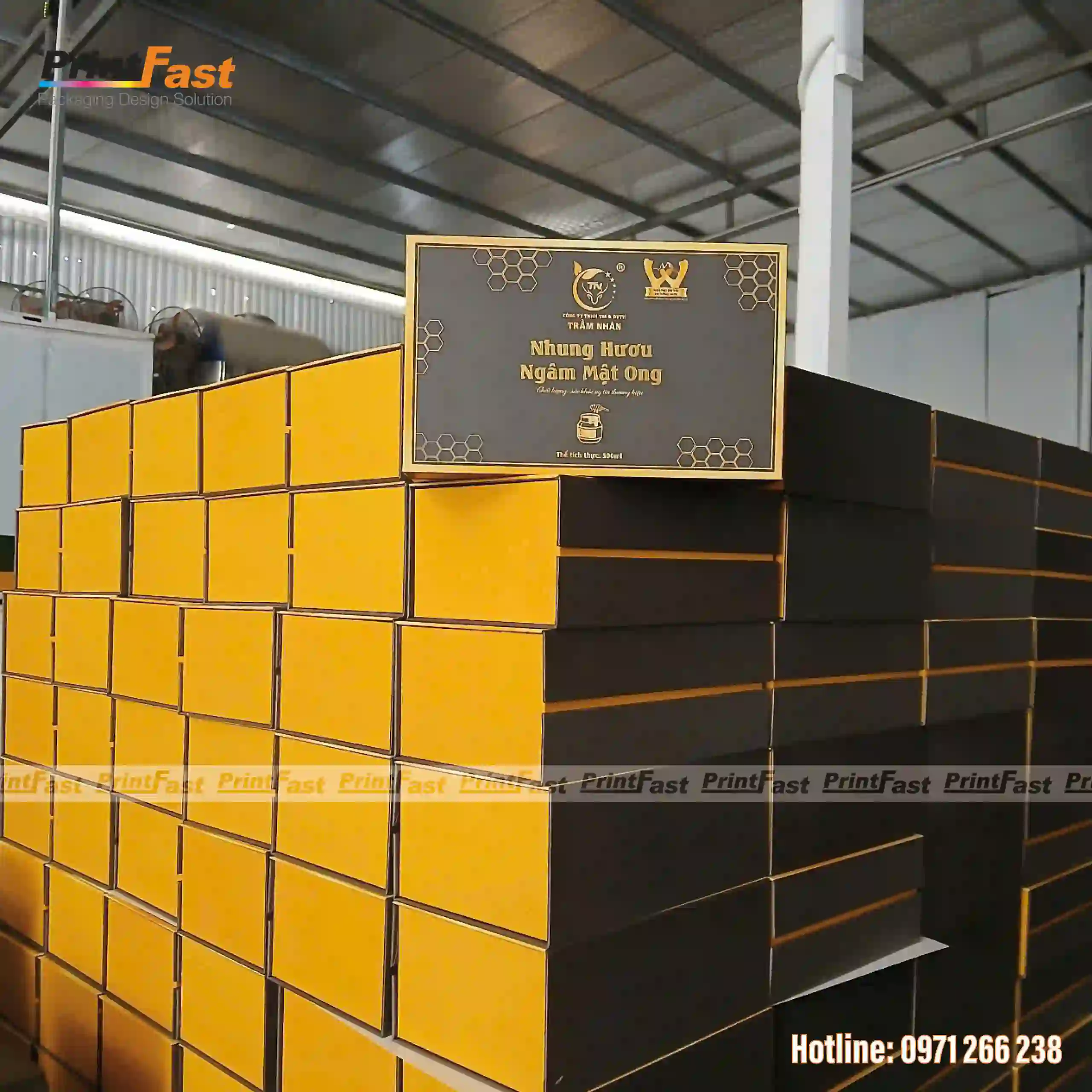 Xưởng In Ấn Bao Bì Printfast