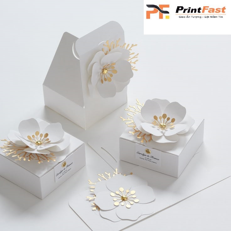 Xưởng In Ấn Bao Bì Printfast
